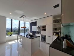 The Scotts Tower (D9), Condominium #571686721